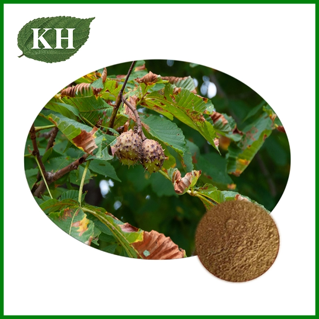 Horse Chestnut Extract Powder Horse Chestnut Extract Powder